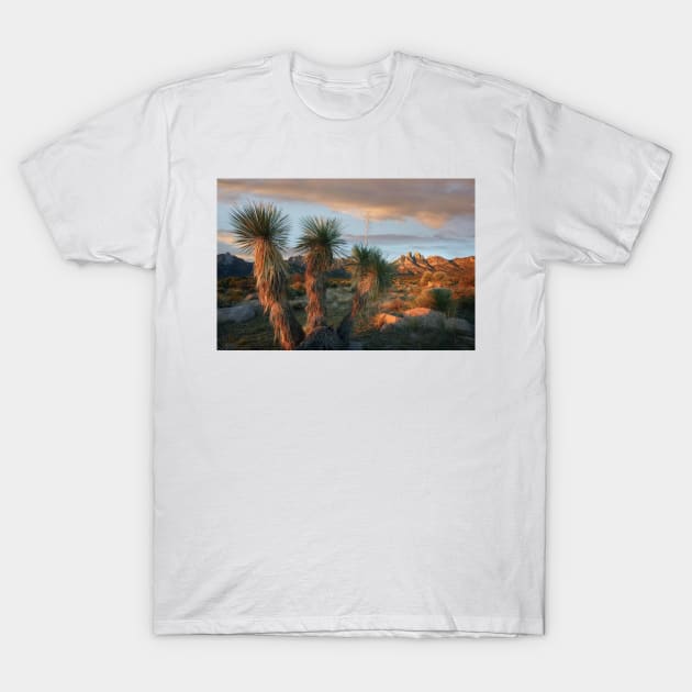 Yucca And Organ Mountains Near Las Cruces T-Shirt by AinisticGina